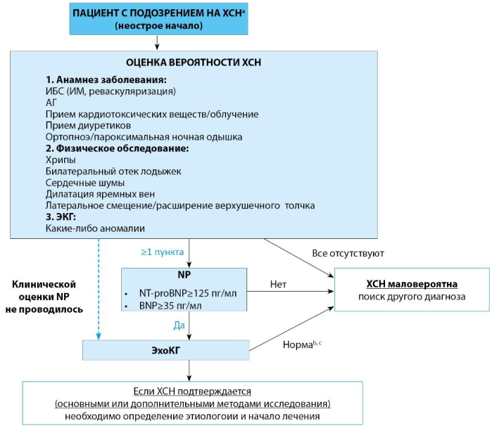 ris11 1