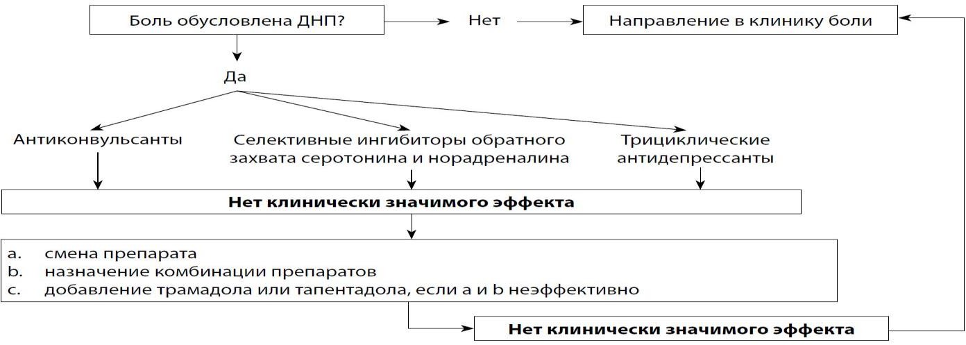 image12