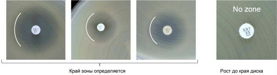 image21