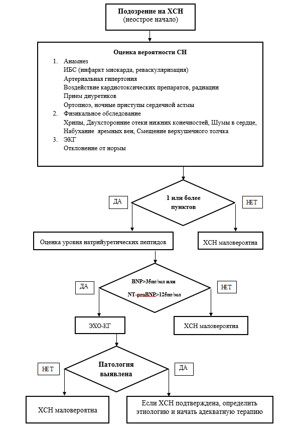 План обследования при хсн