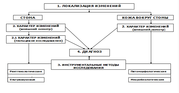 Классификация стом по прогнозу в плане хирургической реабилитации