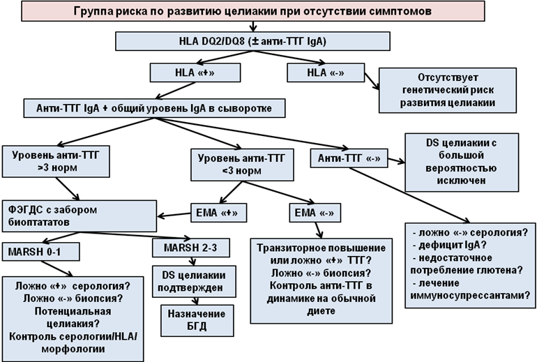 Целиакия у детей клинические рекомендации. Целиакия у детей клинические проявления. Целиакия диагностика клинические рекомендации. Целиакия у детей клинические рекомендации 2019.