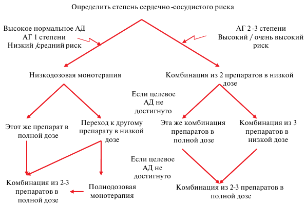 algo5