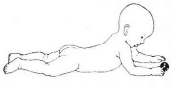 baby_06