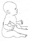 baby_12