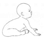 baby_13