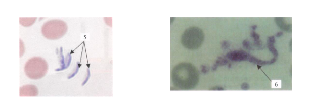 image100