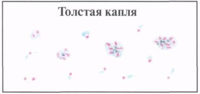 image21