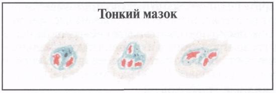 image30