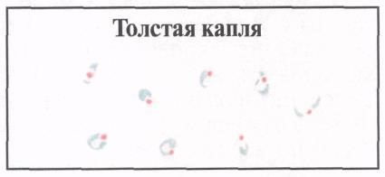 image36