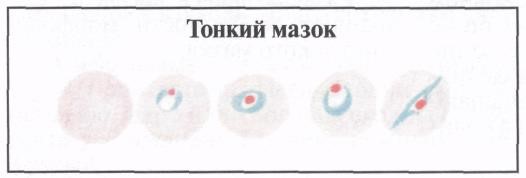 image37