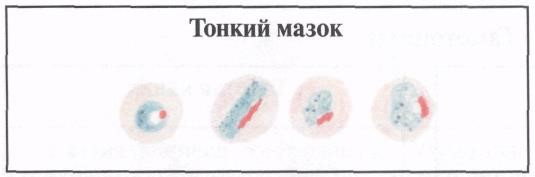 image38