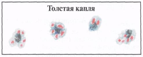 image41