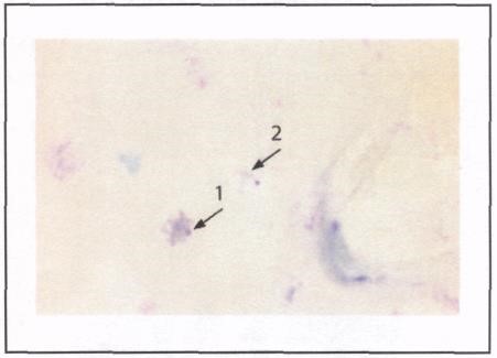image58