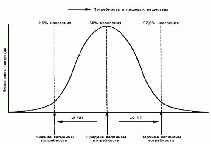 ris1.1
