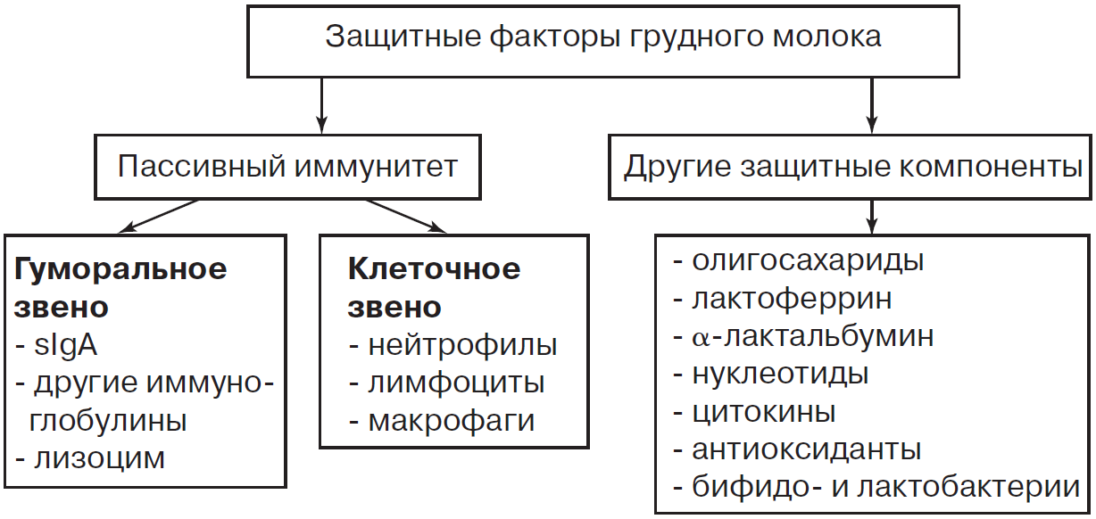 {scr-image-60-width}