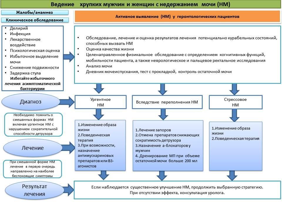 Рубрика клинические рекомендации. Алгоритм ведения пациентов с недержанием мочи. Недержание мочи мкб.