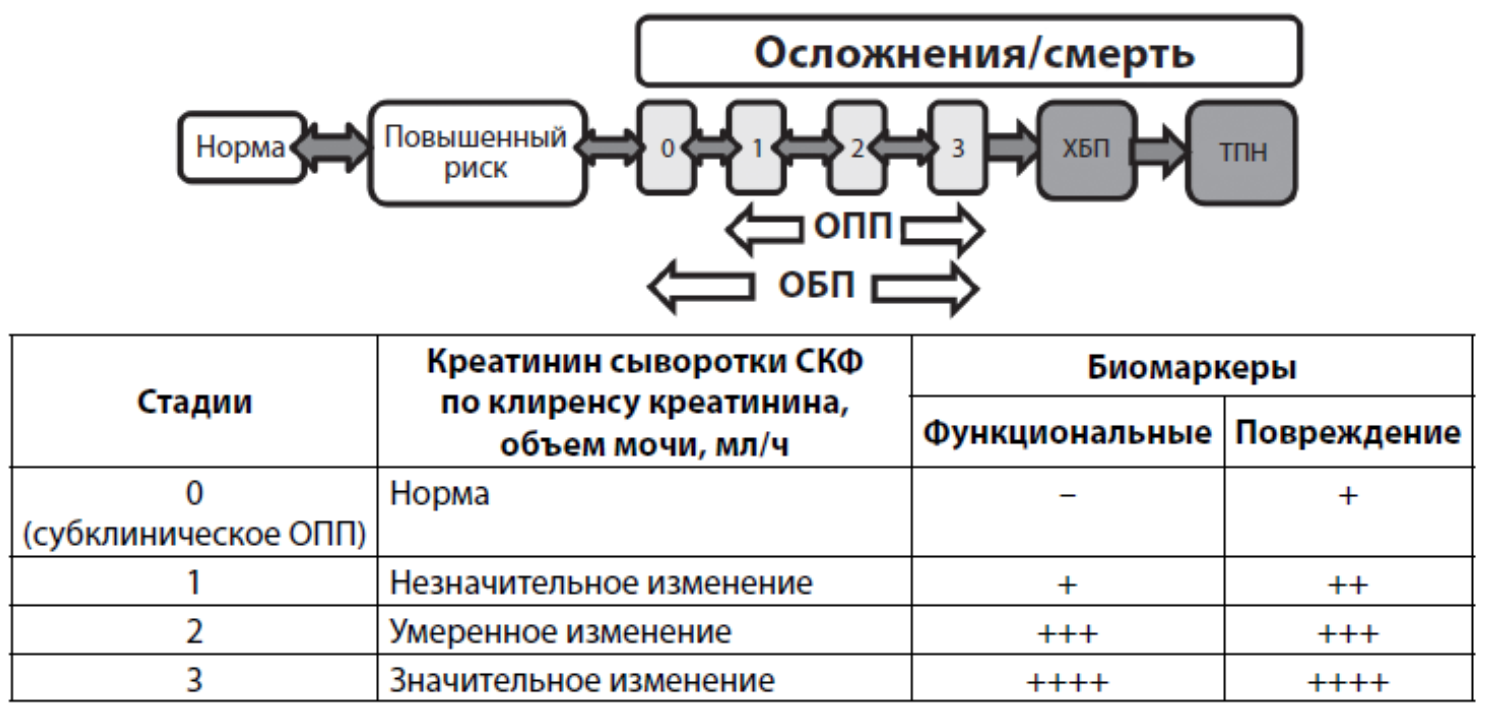 ris-1