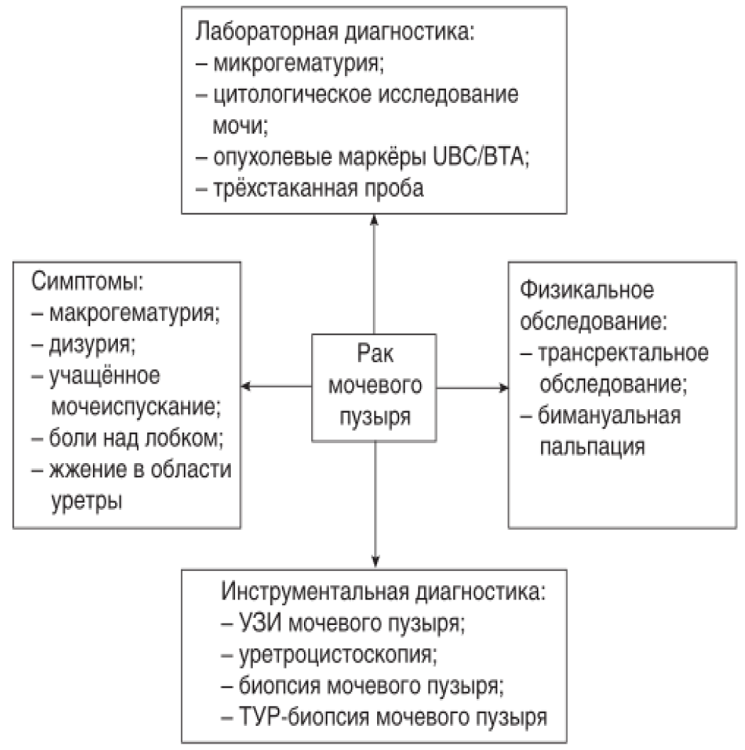 ris2