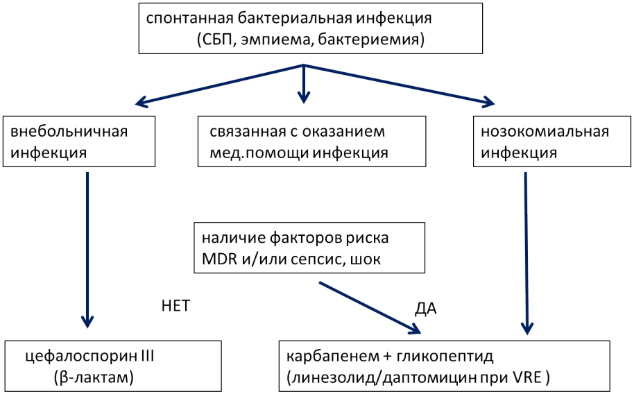 ris5