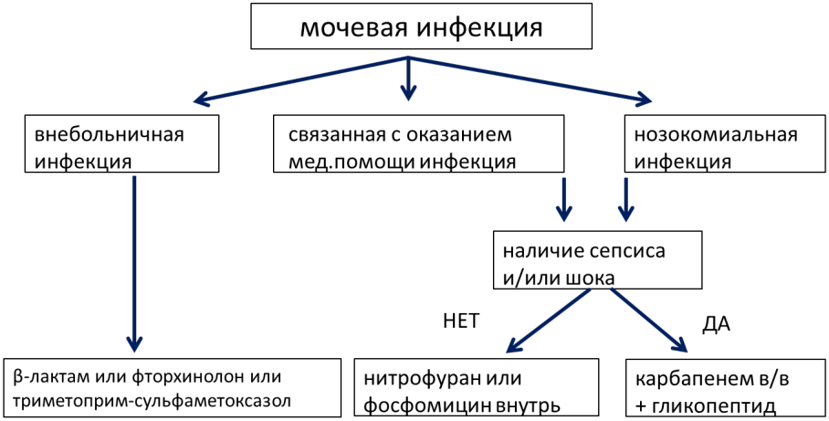 ris6