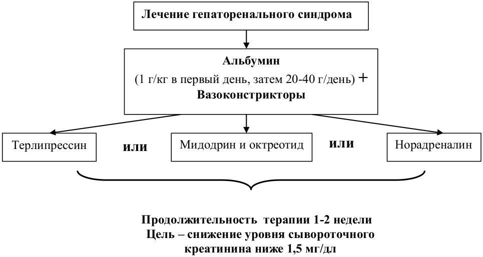 ris8