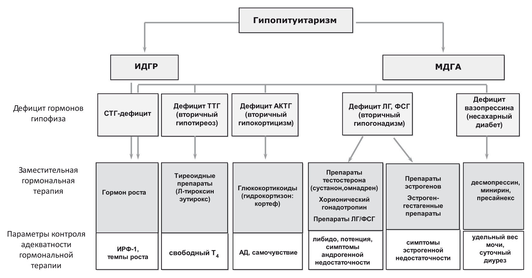 Гипопитуитаризм что это. Гипопитуитаризм дифференциальная диагностика. Гипопитуитаризм клинические рекомендации. Гипопитуитаризм патогенез патофизиология. Гипопитуитаризм клинические и лабораторные проявления.