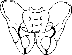 image112