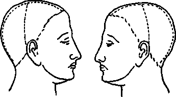 image41