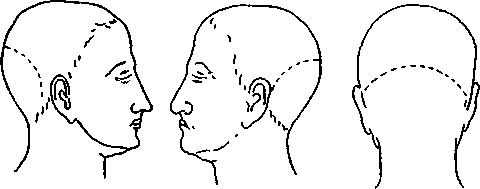 image43