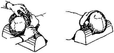 image46