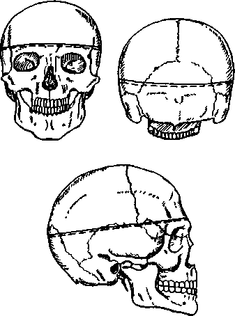 image52