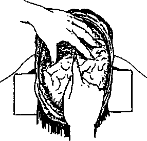 image55