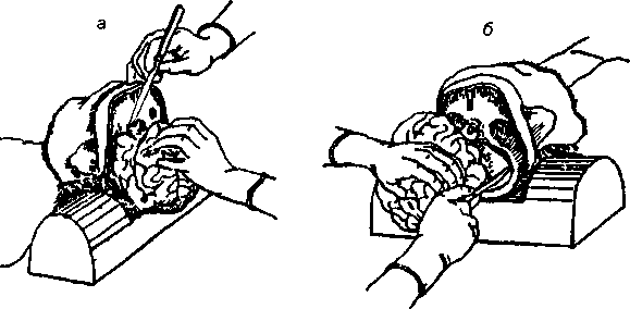 image58