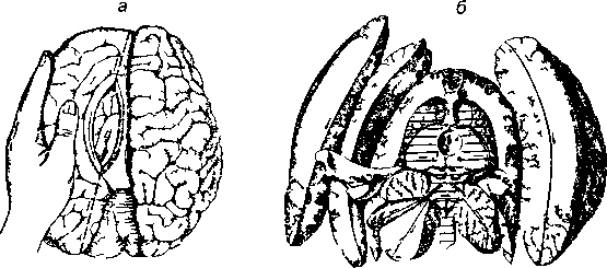 image61