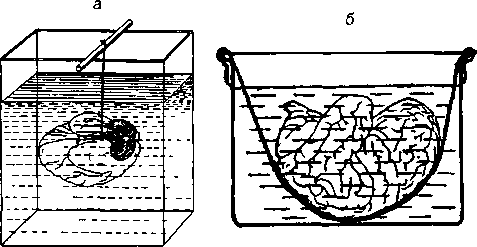 image65