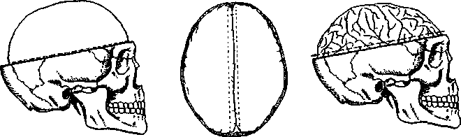 image66