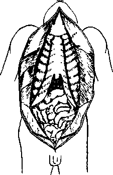 image72