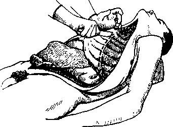 image73