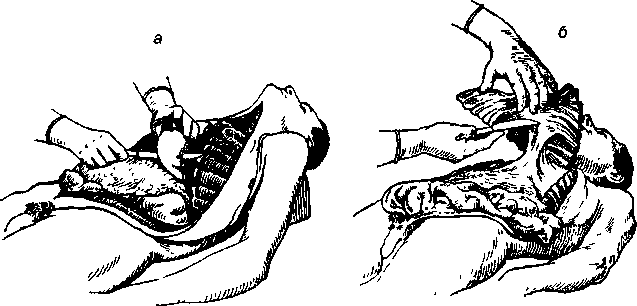 image74
