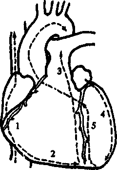 image91