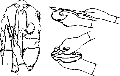 image95