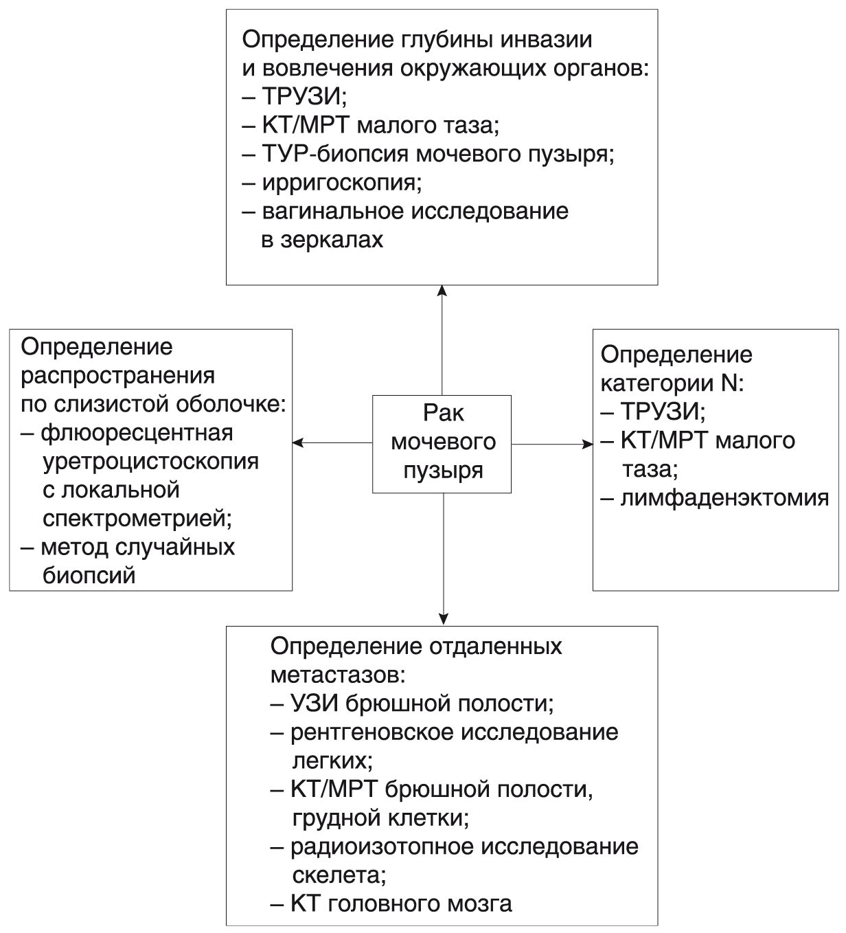 ris10.1