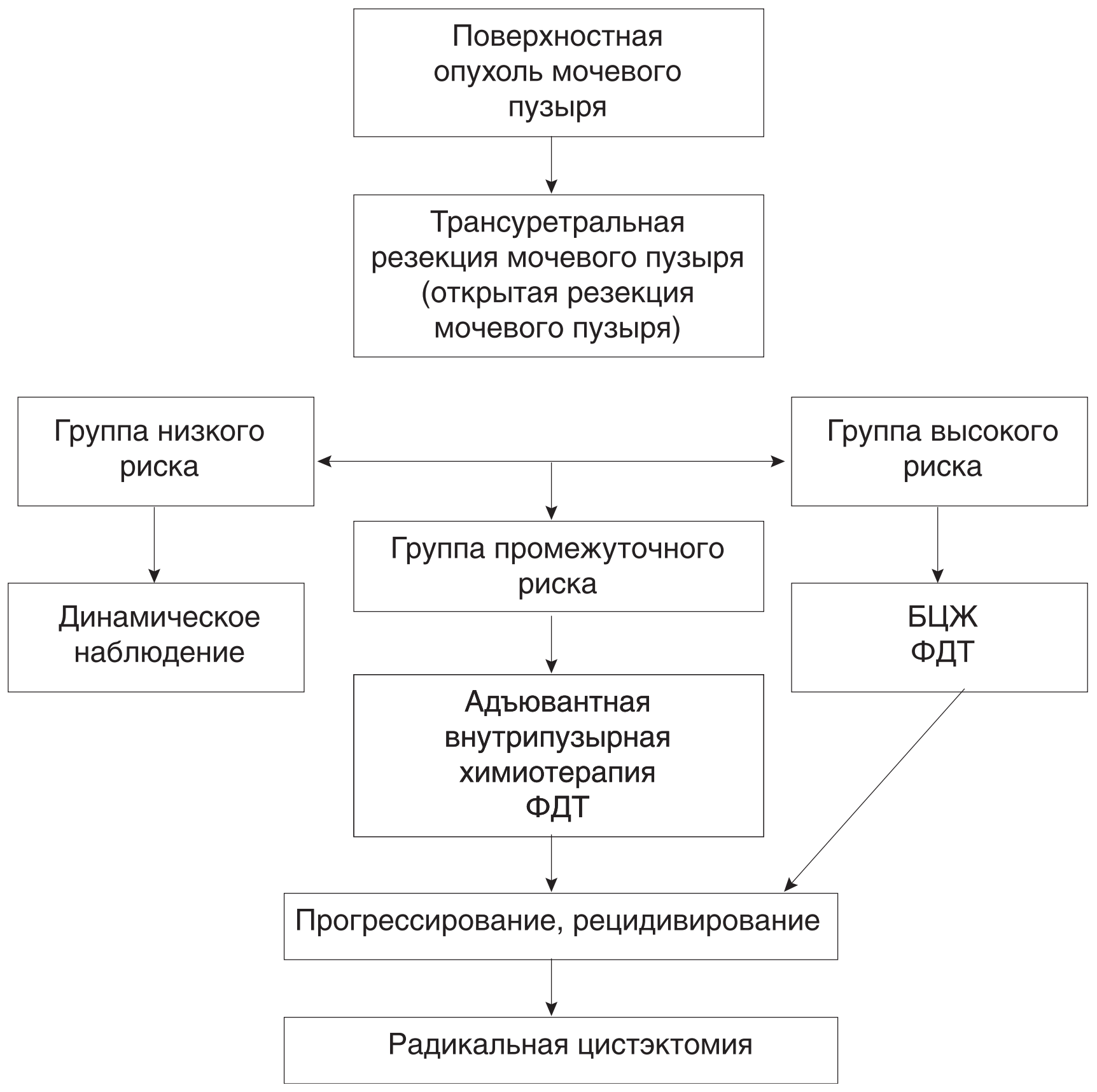 ris10.3