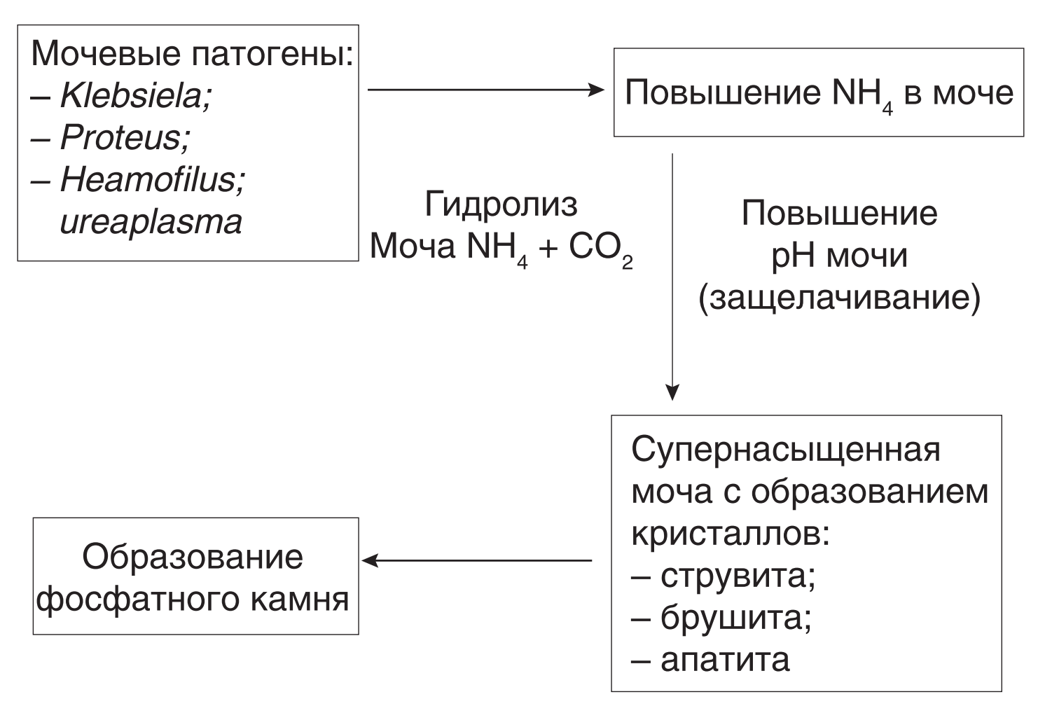 По уходу за больными - ГУ 